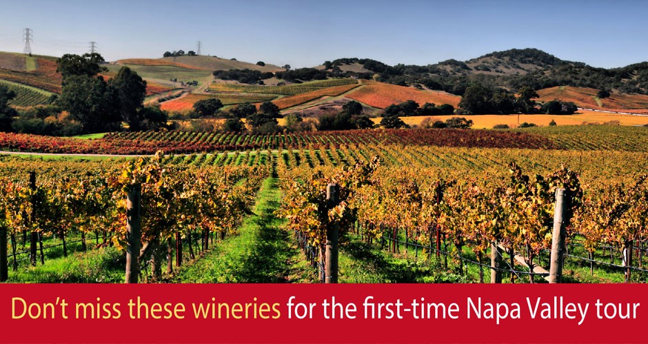 Don’t miss these wineries for the first-time Napa Valley tour